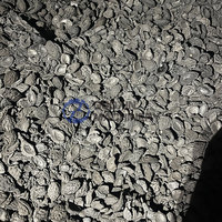 Four de carbonisation continu à alimentation et déchargement automatiques pour coques de palmier et de noix de coco