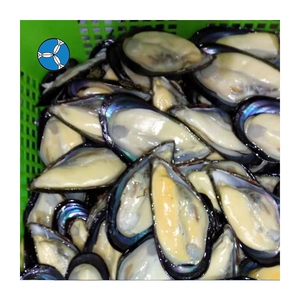 SANFENG SEAFOOD: Cozze Congelate a Mezza Conchiglia Affidabili per Supermercati e Servizi di Catering in Malesia - Product Image 6