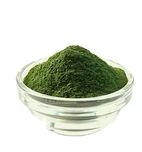 Sciencarin供应莱茵衣藻天然食品级莱茵衣藻提取物粉