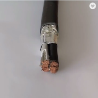 UL2464 2x8 2x10 2x12 AWG Blindaje RRU Cable de alimentación con aislamiento de PE y conductor de cobre