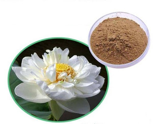 Лидер продаж, натуральный 10:1 30:1, экстракт снежного лотоса, экстракт колбаски, экстракта, экстракта высокой чистоты, травы снежного лотоса - Product Image 1