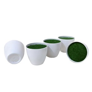 Pot de plante artificielle Paulon 7cm, blanc, en plastique, pour décoration intérieure, style nordique, pots à fleurs - Product Image 5
