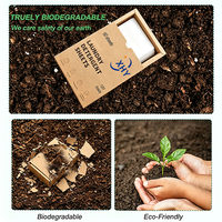 Feuilles de lessive biodégradables personnalisées avec votre logo, prix d'usine, écologiques, avec emballage biodégradable