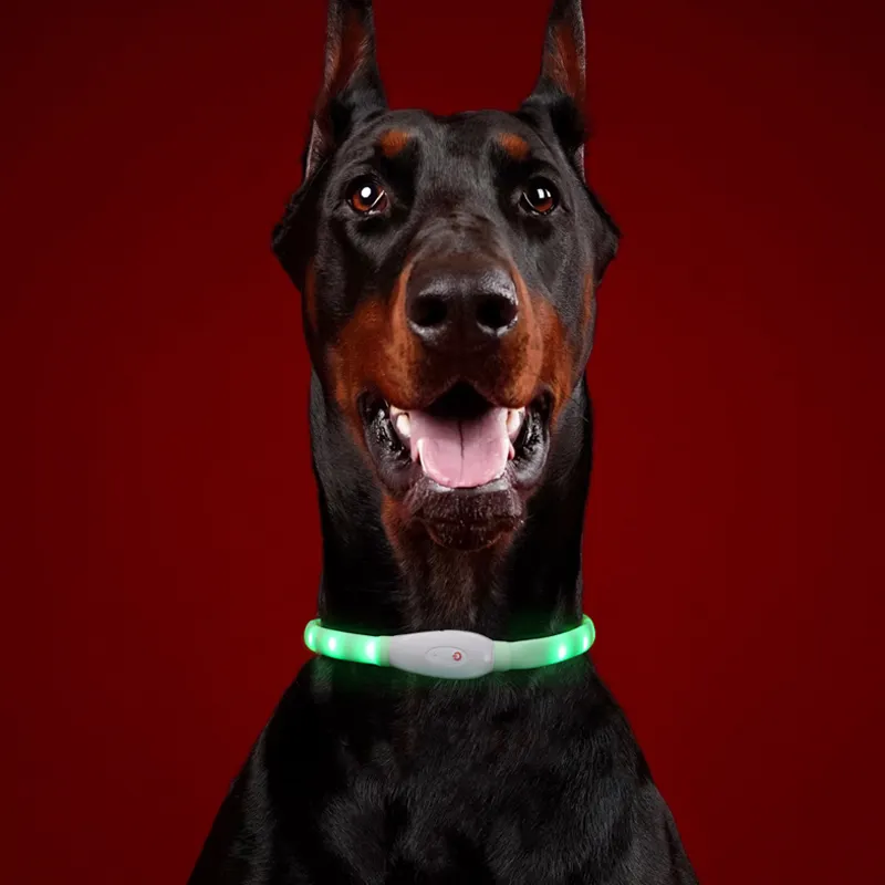 Аксессуары для собак, ошейник для домашних животных с мигающим светом, перезаряжаемый от USB, ночная безопасность, светящийся светодиодный ошейник для собак