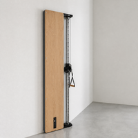 Máquina de entrenamiento funcional de lujo para montaje en pared, 30 kg, acabado en espejo de nogal, máquina compacta con cable para gimnasio en casa