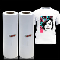 Venta caliente 2021 vinilo imprimible brillante calcomanía plotter rollos de papel HTV vinilo de transferencia de calor