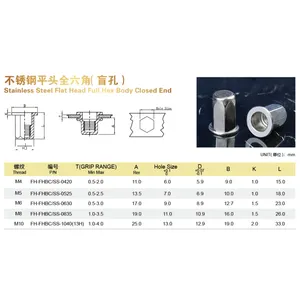 Nouvelle conception 5/16-18 écrou de rivet aveugle hexagonal