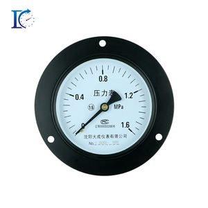 Manômetro de Pressão em Aço Carbono com Conexão Rosca NPT de 1/2'' em Latão, Diâmetro de 100mm, Flange Axial, Proteção IP54, Faixa de 0-600 Bar - Product Image 1