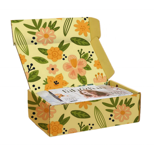 Boîte d'expédition postale en carton irisé <span class=keywords><strong>de</strong></span> luxe pour vêtements, avec fermeture éclair et fenêtre, personnalisable avec logo - Product Image 1