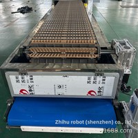 Équipement de ligne de production de brochettes d'aubépine avec machines de remplissage et de façonnage d'aubépine confite Argent et Blanc