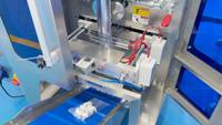 Machine de remplissage, scellage et emballage automatique à 2 bassins vibrants pour attaches en plastique, clips, boutons-pression et boucles en plastique