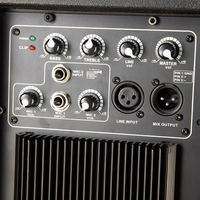 Haut-parleur actif OEM Classe H avec suppression automatique du microphonoïdilement, 123 dB SPL RMS pour DJ, scène live et performances de groupe