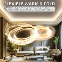 Rubans LED COB Flexibles Super Lumineux de Haute Qualité Stable et Haute Densité, 528 LED 576 LED, 24 V 12 V 8 mm, Lumière Linéaire 480 LED pour Décoration