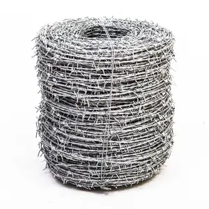 High Quality Hot Selling Manufacturer Direct Supplier Galvanized Barbed Wire for Security Mesh