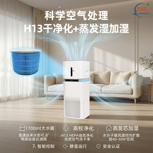 All In One <b>Humidifier</b> And Purifier Gray 21-30 Sqm Home Use Negative Ion HePa Filter - Product Image 5