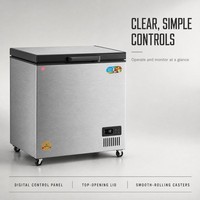 Congélateur coffre commercial à froid direct, monotempérature, autonome pour cuisine et supermarché