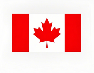 Services de fret aérien et logistique de Shenzhen, Chine vers <span class=keywords><strong>Paris</strong></span>, France, Sydney, Australie, Mexico, Mexico <span class=keywords><strong>City</strong></span> via Air+Express DDP - Product Image 5