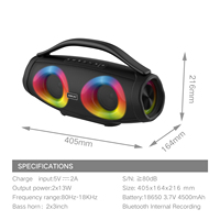 BKK / OEM Enceinte portable 60W IPX6 avec microphone sans fil USB/AUX, lumière LED RGB en plastique pour fête en extérieur, Boombox