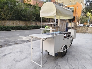 Carrito de Comida Móvil, Bicicleta para Café, Triciclo Personalizado para Venta de Comida Callejera, Helados y Postres - Product Image 3