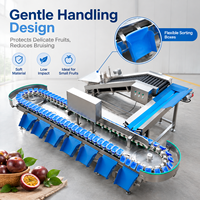 Sorteermachine voor de post-behandeling van oogstproducten, geschikt voor het sorteren van passievruchten, grapefruit en andere verse landbouwvruchten