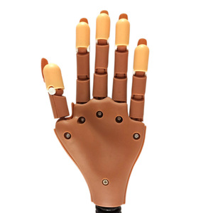 Modèle de main prothétique SunelPort <span class=keywords><strong>Nail</strong></span> Art Joint Prosthetic Hand Model SP-282 pour la pratique, doigts pliables, support mécanique mobile, plaques à ongles en gel - Product Image 3