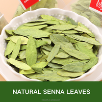 Sachet de thé amincissant à la feuille de séné OEM thé naturel à base de plantes pour la perte de poids pour adultes thé de nettoyage pour brûler les graisses