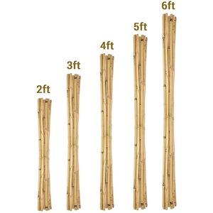 Bâton de <span class=keywords><strong>bambou</strong></span> pour <span class=keywords><strong>tige</strong></span> de jardin Matières premières pour la fabrication de POTS de fleurs, Les POTS de <span class=keywords><strong>bambou</strong></span> populaires sont utilisés pour la plantation et la décoration - Product Image 4