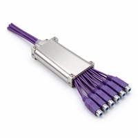 Splitter PLC Panjang Gelombang Khusus 1x8 1x16 CWDM 1270-1610nm Fiber Optik