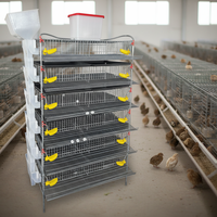 Cage d'élevage surélevée pour cailles et perdrix, avec système de nettoyage automatique du fumier, pour élevages avicoles