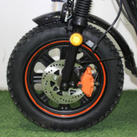 Vélo cargo électrique robuste de 16 pouces, 60V, 1000W, pour la livraison et les trajets quotidiens : Wenbox W-33
