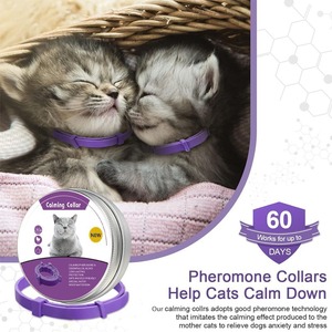 Calming Collar For Cats And Dogs Purple Adjustable Pheromone Essential Oil Blend Water Resistant Design <b>Small</b> Size - Product Image 2