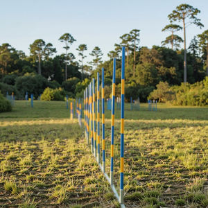 Juego de postes de acero Agility Slalom <span class=keywords><strong>Weave</strong></span> de 12 postes-Entrenamiento de espaciado ajustable certificado FCI - Product Image 4
