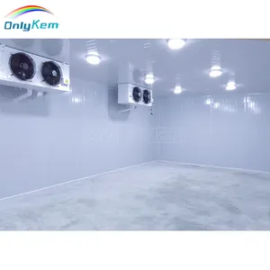 The Cold Room Energy Saving Cold Room Walk In Cooler For Fruit