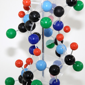 Modèle ADN Qinghua, chaîne génétique biologique, double hélice, modèle de protéine sphérique, démonstration pédagogique pour enseignants - Product Image 4