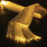 Robe de mariée exotique lumineuse à fibres optiques pour soirée