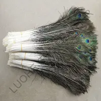 Dengan Harga Murah Dijual Biru Alami 60-70 Cm Peacock India Bulu Ekor untuk Karnaval Menari dan Kinerja Kostum Dekorasi