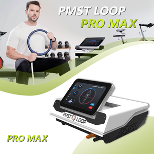 Professional PEMF Therapy Machine s Horses Magnetic Pulse Device Pain Relief Rehabilitation Scraping Apparatus - Product Image 4