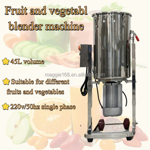 Broyeur <span class=keywords><strong>de</strong></span> fruits et légumes automatique <span class=keywords><strong>de</strong></span> grande capacité 45L, en acier inoxydable, 3000W, haute productivité - Product Image 2