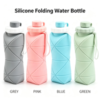 Bouteille d'eau pliable en silicone sans BPA, réutilisable, anti-fuite, portable, avec couvercle