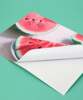 Matériau de base de peinture d'impression en rouleau de papier de libération de cellophane 60g pour étiquettes alimentaires auto-adhésives
