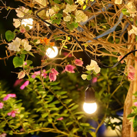 Wendadeco Plastique Cour Jardin Décoré Étanche IP44 Écologique LED Festoon Guirlande Lumineuse Extérieur Festival Lumières