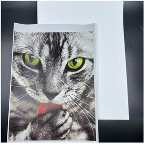 Papier <span class=keywords><strong>UDV</strong></span> blanc auto-adhésif sur rouleau personnalisé Shenzhen Minrui pour l'impression - Product Image 6