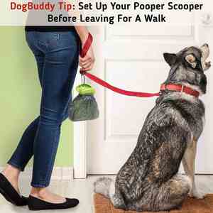 Pooper Scooper Portable Dog Pooper Scooper Scoop Dogs Bag Attachment Leash <b>Clip</b> Dog Poop Bags Included Portable Pooper Scooper - Product Image 5
