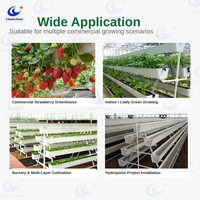 Système de culture hydroponique en PVC ChenChao en gros, gouttière hydroponique avec tuyau carré de 50 mm pour légumes