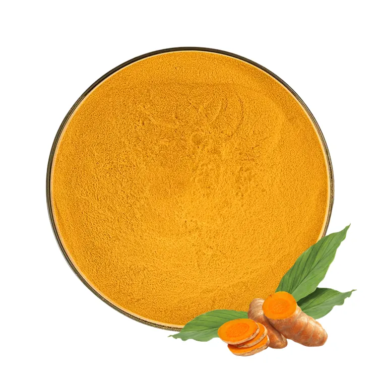 शीर्ष ग्रेड पाउडर कार्बनिक हल्दी रूट निकालें पाउडर Curcumin निकालने