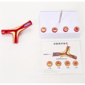 PVC kualitas tinggi model dokumenter pembuluh darah sains medis individual dan intrumen - Product Image 5