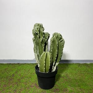 Plantes artificielles : Cactus à tiges simples suspendues, autres plantes décoratives, vente en gros, photographie de plafonds, plantes artificielles de type cactus - Product Image 2