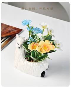 Maceta Grande de Cerámica Esmaltada con Diseño de Alpaca, Estilo Nórdico, para Suculentas (<span class=keywords><strong>Planta</strong></span> No Incluida), Ecológica, Juego de 2 Piezas - Product Image 4