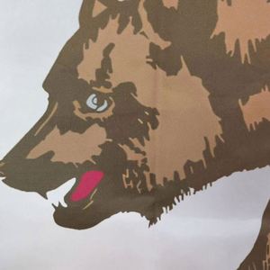 โรงงานขายส่งผ้าโพลีเอสเตอร์ 100% ผ้าพรีเมียมสั่งทำพิเศษ พิมพ์ลายดิจิทัล ธงแคลิฟอร์เนีย - Product Image 5