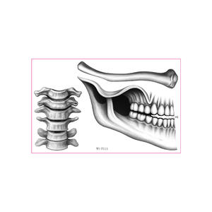 Hot New Halloween Thriller Tattoo Sticker on para <span class=keywords><strong>Amazon</strong></span> Temporal Lip Makeup Decorativo Clavícula Hueso Diseño - Product Image 4